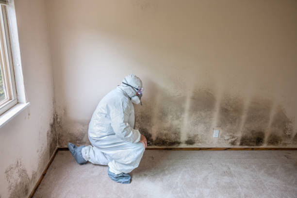 Best Bathroom Mold Remediation in Tresckow, PA